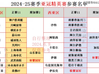 江南体育-埃因霍温继续领跑，亚冠淘汰赛席位已提前锁定